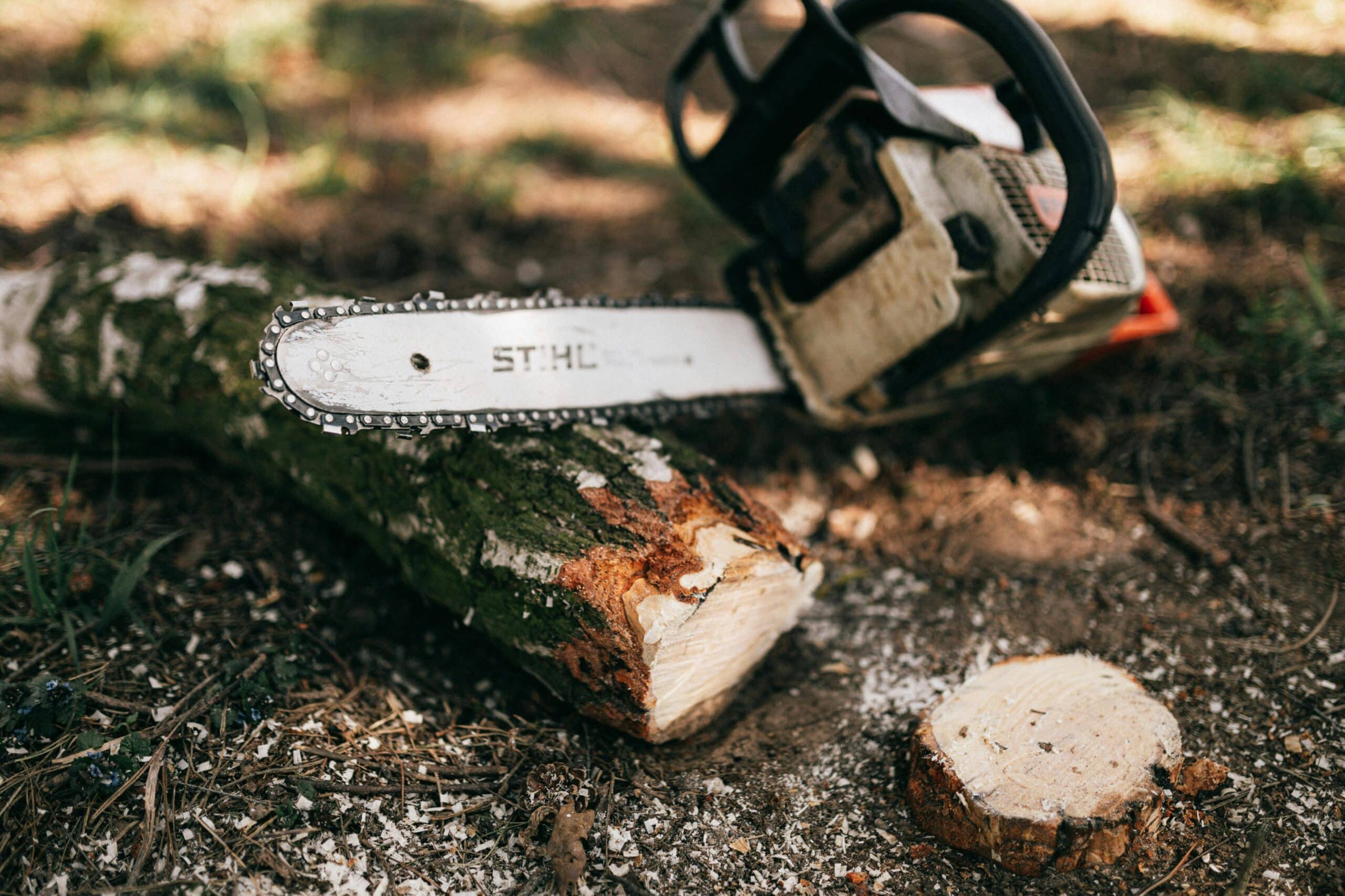 chainsaw on ground noise assessment