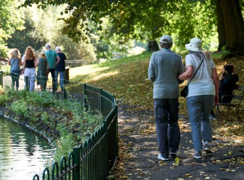 Inland Water Pond Lake