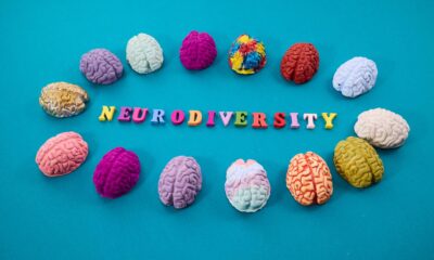 Neurodiversity Concept. Multicolored Figures Of The Brain